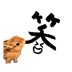 Rabbits move a lot. Everyday use stamps