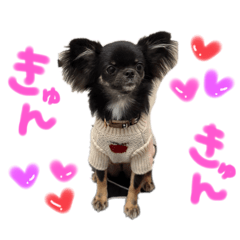 ankoromochi_20260105232706