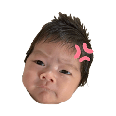 kidskoto""_20260106022819