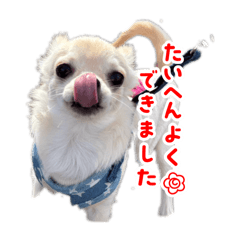 MAIKI_20260105201400