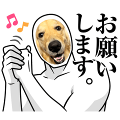 Coooocooooo_20260105222932