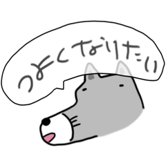 bakubaku_20260105223701