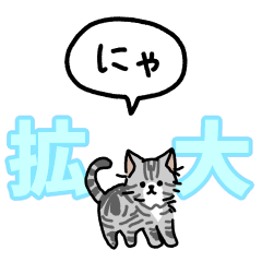 "Enlarged" American Shorthair (balloon)