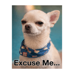 Shotaman_20260106090318