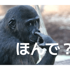 Kyosuke_20260104115544