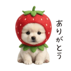着ぐるみを着た白い柴犬