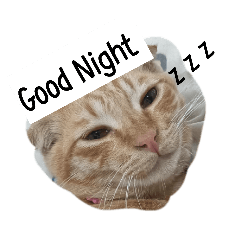 SEAGAME_20260105202054