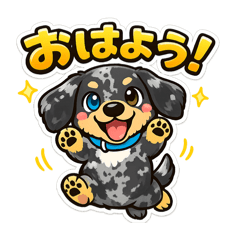 teppei_20260106092704