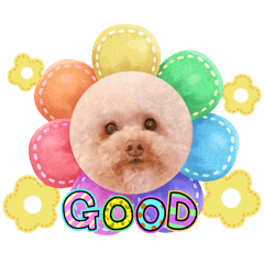 haruna_20260106040324