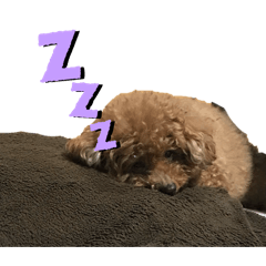 HARUNA_20260106133603