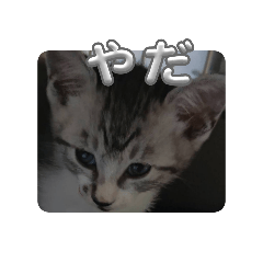 RUNA_20260106134118