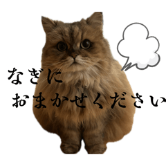talkative  Nagichan