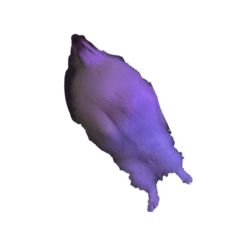 matsuri_20260106105840