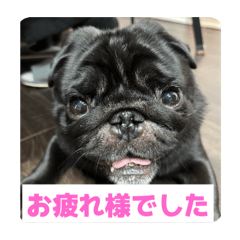 gu-chan_20260106145733