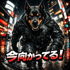 夜街のBOSS犬 -Midnight Dog-