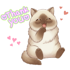 murakata-shop_20260106140236