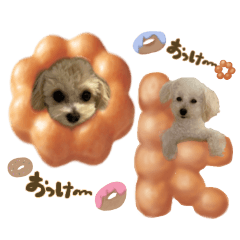 yuitsu_20260106162238