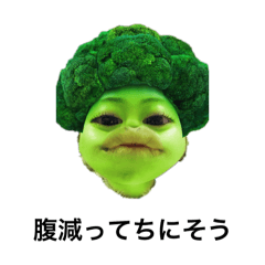 k_20260106153235