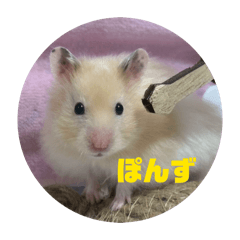 renkon_20260106172247