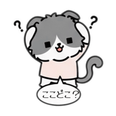 Nicosuki_20260106172335