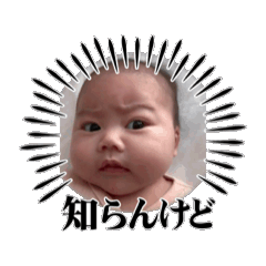 kimikimi_20260107013406