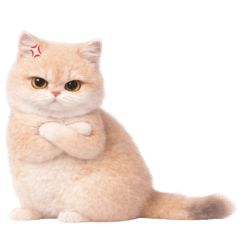 น้องขนปุย แมวครีมทอง น่ารัก (No text)