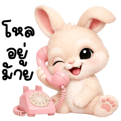 กระต่ายน่ารักเลิฟลี่
