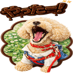 うちの子チョコレート”イチロ”