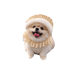 momotaro_20260106183145