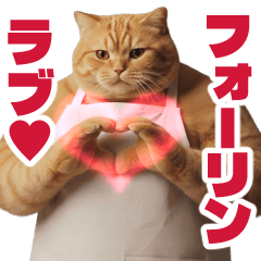 A chubby cat conveys love