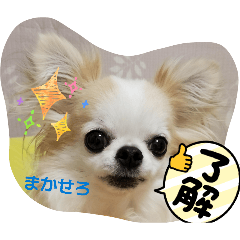 altria1114_20260106125956