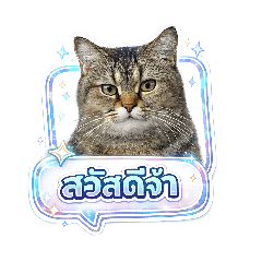 Chaokuay888