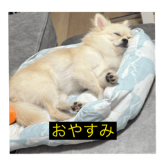 rei_20260106193410
