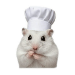 SALAKJIT_20260106142456