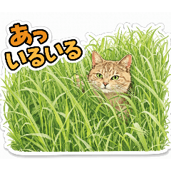 LUCCA_20260106200122