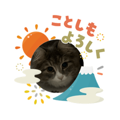 vivi_20260106200340