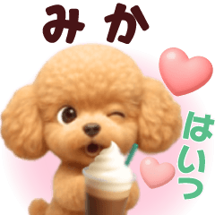 Pretty toy poodle 3D stickers1.1 Mika