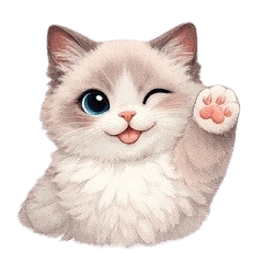 丁香布偶貓の日常