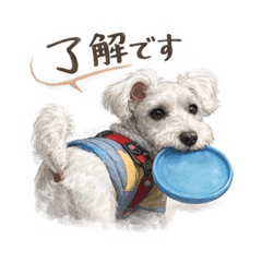 白色のミニチュア・シュナウザー - LINE スタンプ | LINE STORE