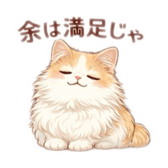 Cats are usually right.