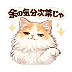 Cats are usually right2