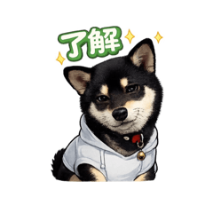 kuroshibasakuchann