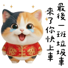 Flower cat: You still owe me the holiday