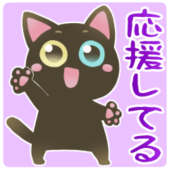 BIG!Odd-eyed black cat 4 [cheer]