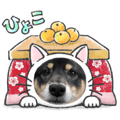 しばいぬ くま2