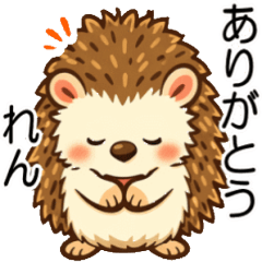 れんくんの やさしいハリネズミ