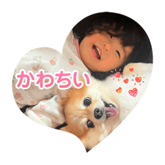 koshou_20260106