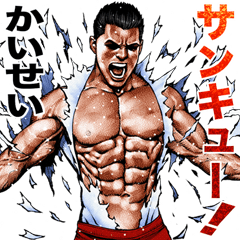 Kaisei dedicated Fine macho sticker