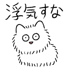 Big-eyed Pomeranian (Jealous)