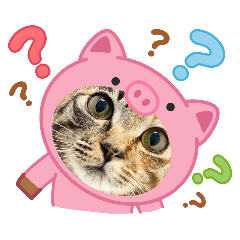 我是呆呆虎